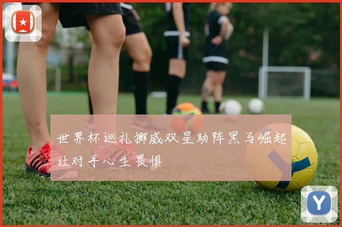 世界杯巡礼挪威双星助阵黑马崛起让对手心生畏惧